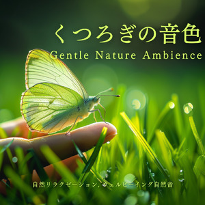 セロトニンを促すθ波×ピアノの響きで安心感に包まれる睡眠導入 (寝落ちのピアノの森)