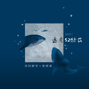 遇见52赫兹（伴奏）