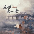 花间酒一壶dj版