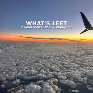 What's Left (feat. Cinnamon)