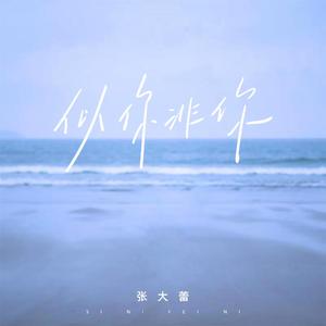 似你非你