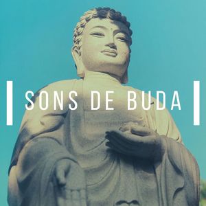 Buda e seus Ensinamentos