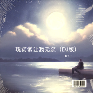 现实常让我无奈 (DJ版)