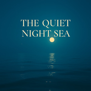 静かな夜の海