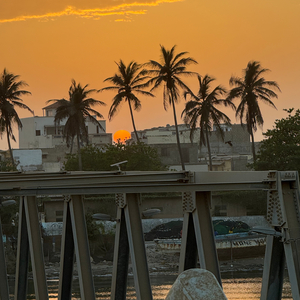 Frère Maxime (le Silence habité)