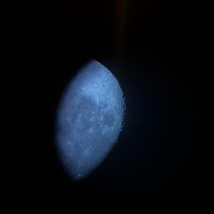 somebody to wake up to