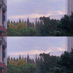 Froggy-洛阳不下雪，爷不需要你（111111111 remix）