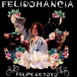 Felidomancia