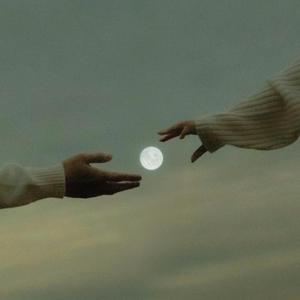 We could have tried harder (feat. Vii)