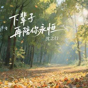 下辈子再陪你永恒