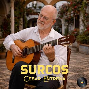 Surcos