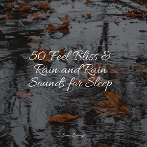 Mighty Shoreline Waves