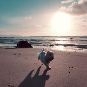 We're Old Enough to Dream