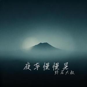 夜车慢慢晃