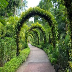 Hold Fast to Your Dream