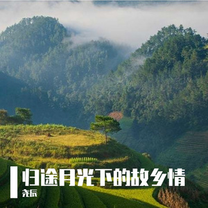 《归途月光下的故乡情》