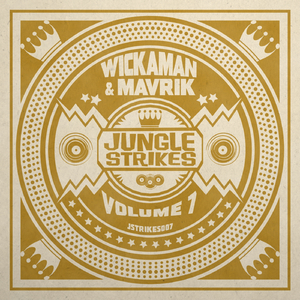 Plug It In (Original Mix)