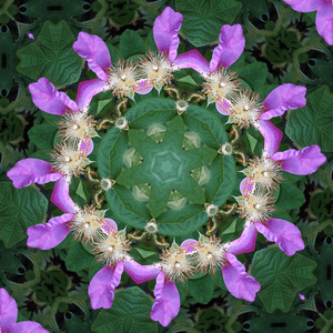 A healing force, forever to renew