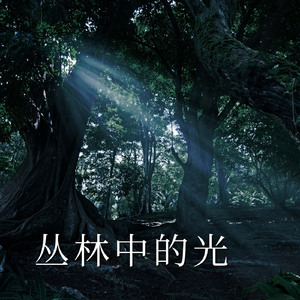 丛林之光