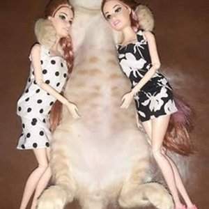 Invoices (nightcore)