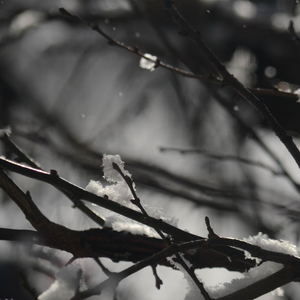 Lay Back (Sea Sound)