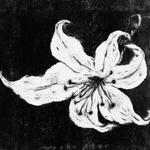 [FREE]"True Love"人声采样&钢琴旋律 类型伴奏