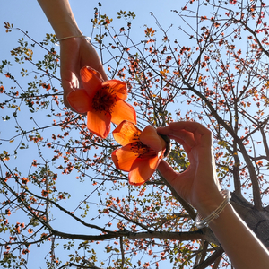 《这个世界本该就如此吗》