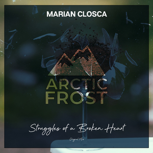 Struggles Of A Broken Heart (Original mix)
