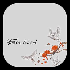 Free Bird (feat. Karh)