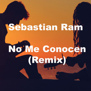 No Me Conocen (Remix)