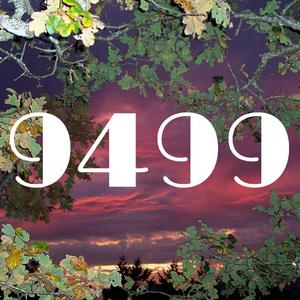 9499
