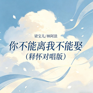 你不能离我不能娶（释怀对唱版）