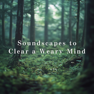 Soft Pellets of Time