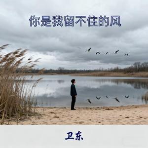 你是我留不住的风