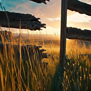 Where the Fence Line Ends