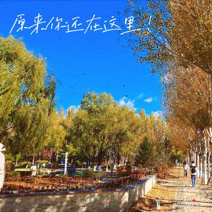 原来你还在这里