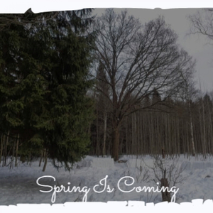 The Maiden and the Nightingale