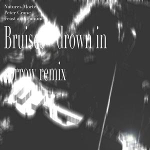 bruises drown in sorrow remix (feat. Natures Mortes & Peter Crane)