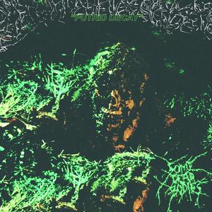 Dragged down and drowned to death