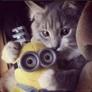 grateful (feat. CapzLock)