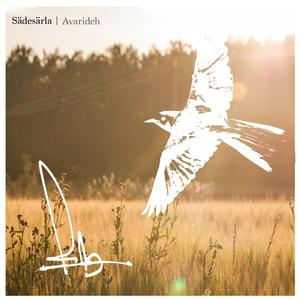 Sädesärla