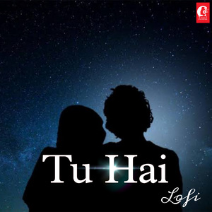 Tu Hai Lofi