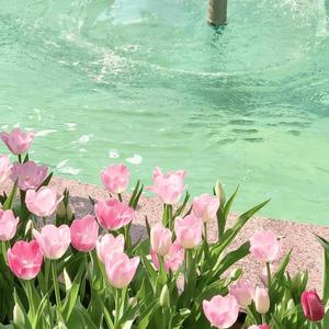 月亮月亮你能照进南北