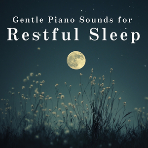 Tender Steps into Stillness