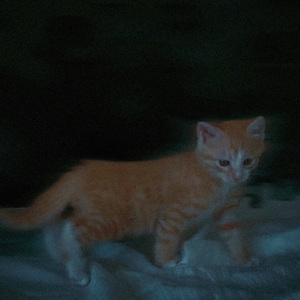 Landing Guy (翻唱）