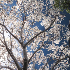 让你等太久的人最后都不会选你