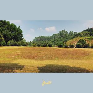 回不去的那个夏天