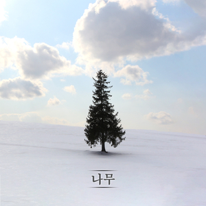 바람에 흔들린 꽃은