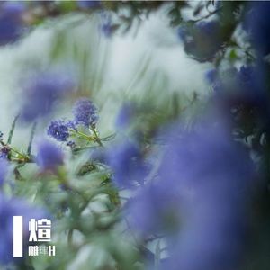 我想牵起你的手一起去看星星，但是...