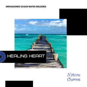 Show the Ocean Waves